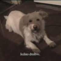 Ivan Faktor: ‘Željko Jerman – Moj mjesec’, video still