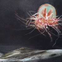 Jellyfish on the Moon.  Text Fabienne Gambrelle, ilustracije Anaïs Tondeur i Gabriel Grandry