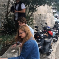 gerilsko vrtlarstvo u Korčuli