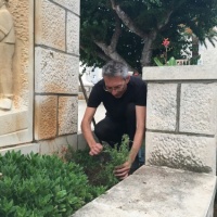 gerilsko vrtlarstvo u Korčuli