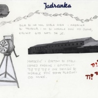 Nina Prižmić, Lucija Marić, Tihana Franulović